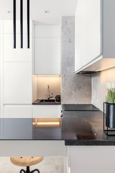 Deluxe Apartment In City Center, Steam Park Krakow Ngoại thất bức ảnh